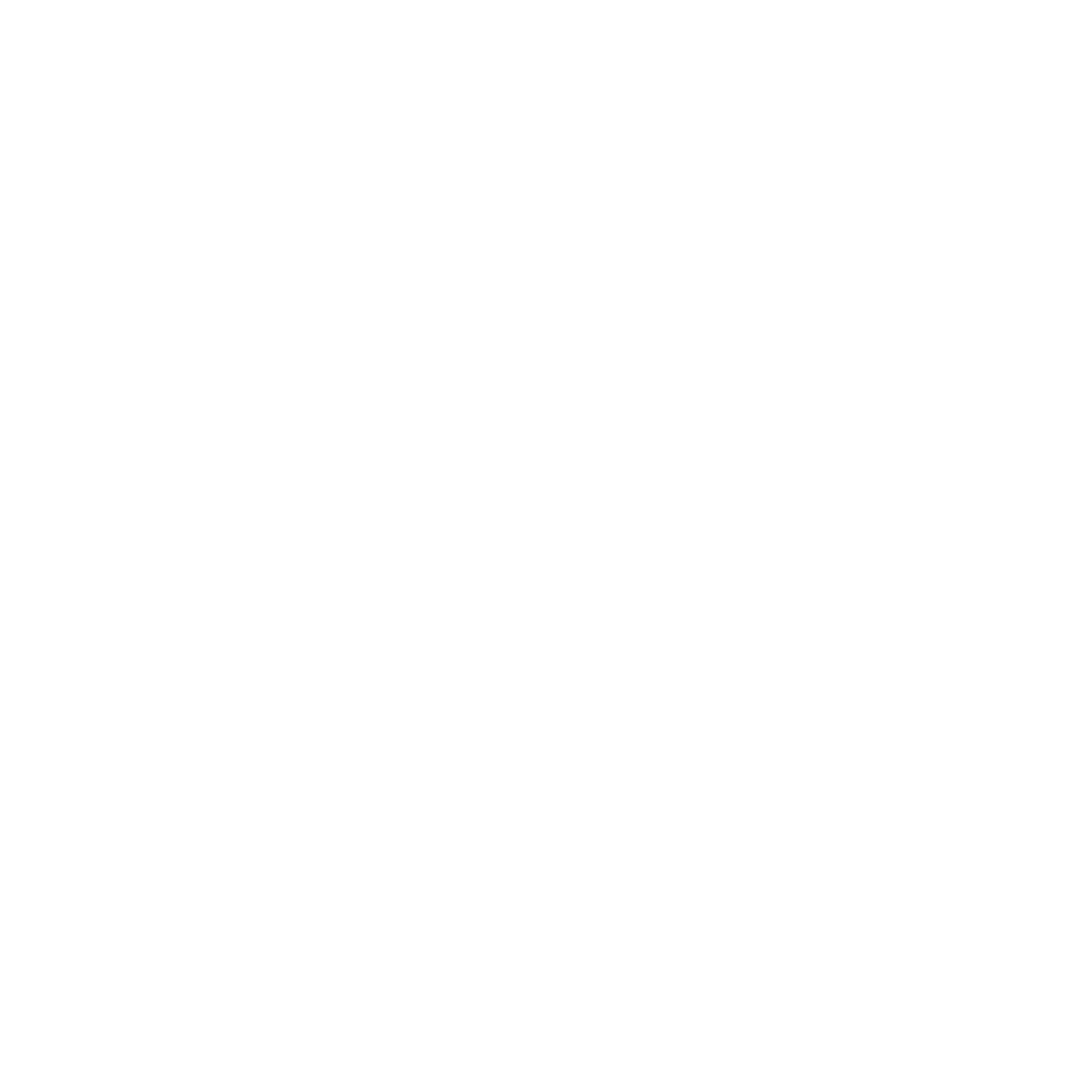 Start Attractor logo